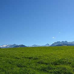 Appartement Henry (Tiefparterre)