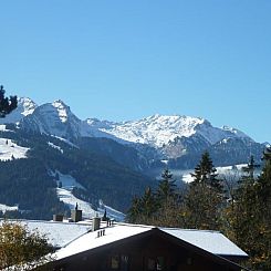 Appartement Suzanne Nr. 18