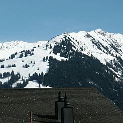 Appartement Alpenchalet Haldeli