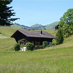 Appartement Aerneli, Chalet