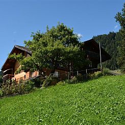 Appartement Meielblick Appartement/Fewo, Dusche oder Bad, WC