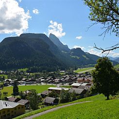 Appartement Meielblick Appartement/Fewo, Dusche oder Bad, WC