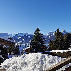 Appartement Les Hivernants (EG links) Appartement/Fewo, Dusc