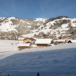 Appartement Les Hivernants (EG links) Appartement/Fewo, Dusc
