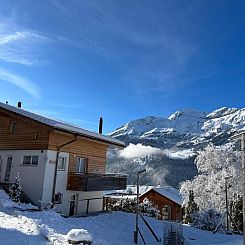Appartement Chalet Viola
