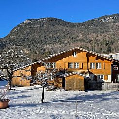 Appartement Alpine Home Streich
