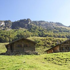 Vakantiehuis Alphütte Gental - Haslital