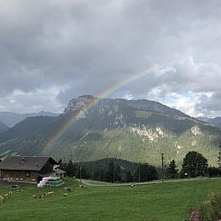 Appartement Gsässweid