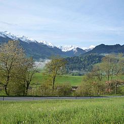 Appartement Ferienhaus Niesen View