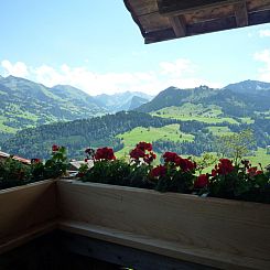 Appartement Ferienhaus Niesen View