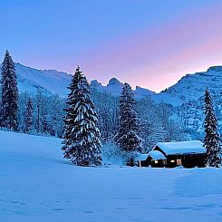 Appartement Chalet Bergmandli