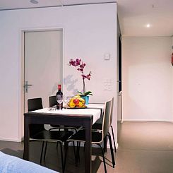 Appartement LU Nadelwehr III - Allmend HITrental Apartment