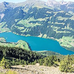 Appartement Ferienwohnung ENZian