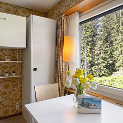 Appartement Promenade Apt 416