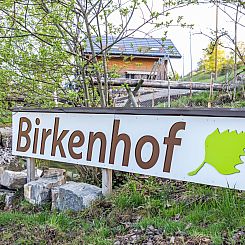 Appartement Haglere, Birkenhof (6-Bett)