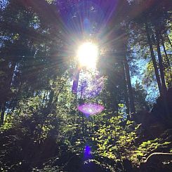 Appartement Gina's Apartment - Nähe zu See und Berge