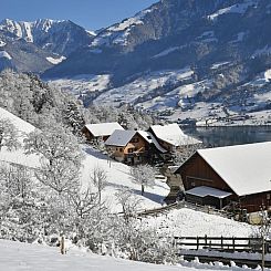 Vakantiehuis Holzhaus auf Lamahof