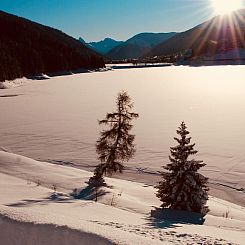 Vakantiehuis The Holiday Home Davos