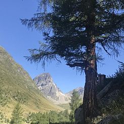 Appartement Urlaubstage in Davos