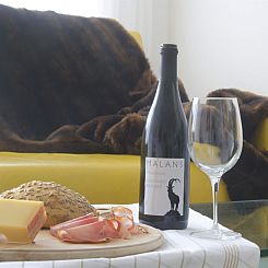 Appartement Alpenblick - Quellenhof A14 3-Zimmerwohnung