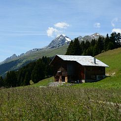 Appartement Maiensäss Plumarscha Friberg, Brigels, (Breil/B