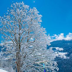 Appartement Casa Panorama Camartin, Brigels, (Breil/Brigels)