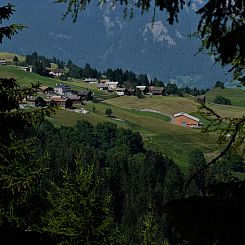 Appartement Hof Beeli, (Tschappina).