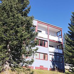 Appartement 6-Bettwohnung/2-Zi-Whg