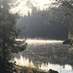 Appartement Casa Primavera B32, (Flims Dorf). 3.5 Zimmerwohn