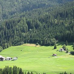 Appartement Ferienwohnung Forsthaus Falkenstein
