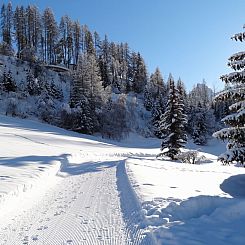 Appartement Chasa Quadra, (Tarasp).