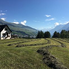 Appartement Ferienhaus La Chasina, (Tarasp)