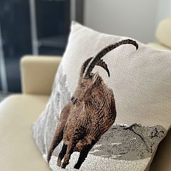 Appartement Chasa Azura