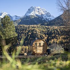 Appartement Chasa Tusa 1, (Scuol).