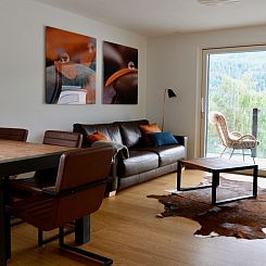 Appartement Chasa Allegra, (Scuol).