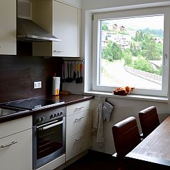 Appartement Chasa Allegra, (Scuol).