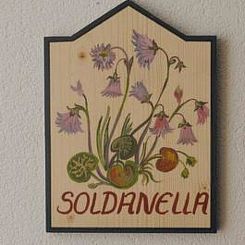 Appartement Chasa SERAINA, (Samnaun-Dorf).