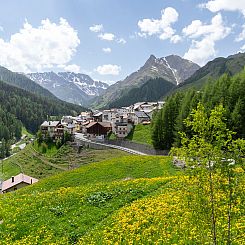 Appartement Das Felaria, (Samnaun-Laret).