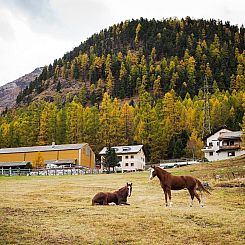 Appartement Chesa Formel - Stalla Engiadina