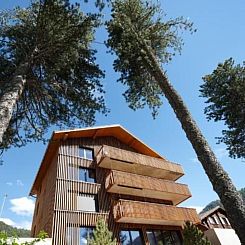 Appartement Alpine Lodge 6-Bett-Wohnung mit Galerie
