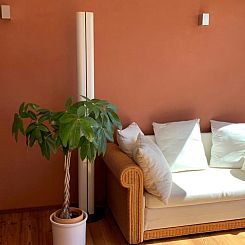 Appartement MFH Terr‘in tschêl