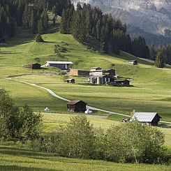 Appartement Ferien auf dem Bauernhof, (Laax Murschetg). 3.5 