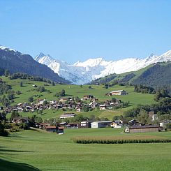Vakantiehuis Altes Pfarrhaus, Surcasti, (Surcasti).