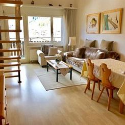 Appartement Disentiserhof Hönig, (Disentis/Mustér).