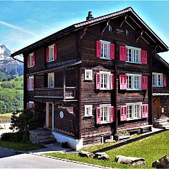 Appartement ANSAUNA appartaments, (Segnas/Disentis).