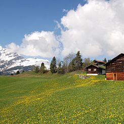 Appartement Maiensäss Casaritsch, (Urmein).