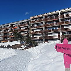 Appartement Haus Viols 54 Appartement/Fewo, Bad, WC, 2 Schla