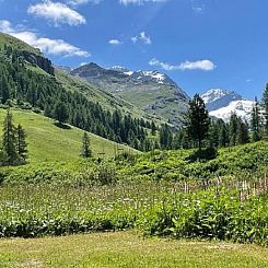 Vakantiehuis Historisches Haus im Fextal - Sils