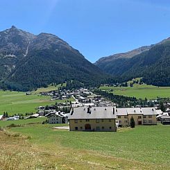 Appartement Wohnung Grün