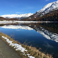 Appartement 2 Zi. Whg.